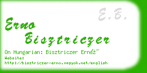 erno bisztriczer business card